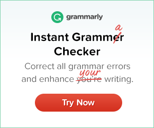 01-02-correcting-instant-grammar-checker-300x250